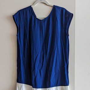 Madewell Blue and White Shift Dress